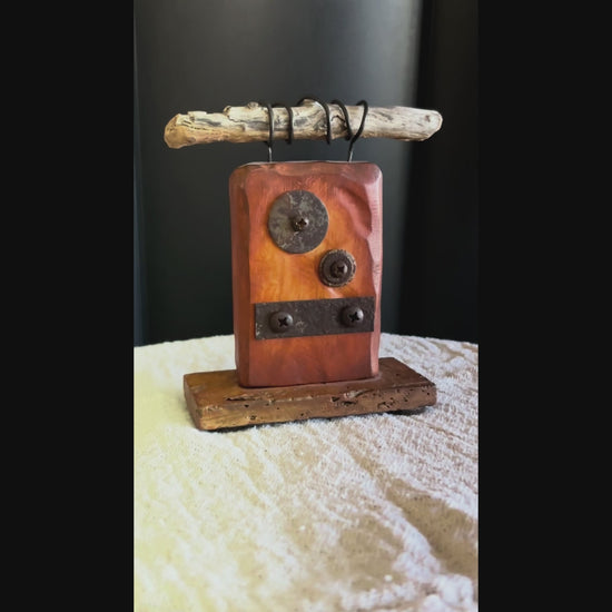 Video of rustic sculpture by Robert Schott