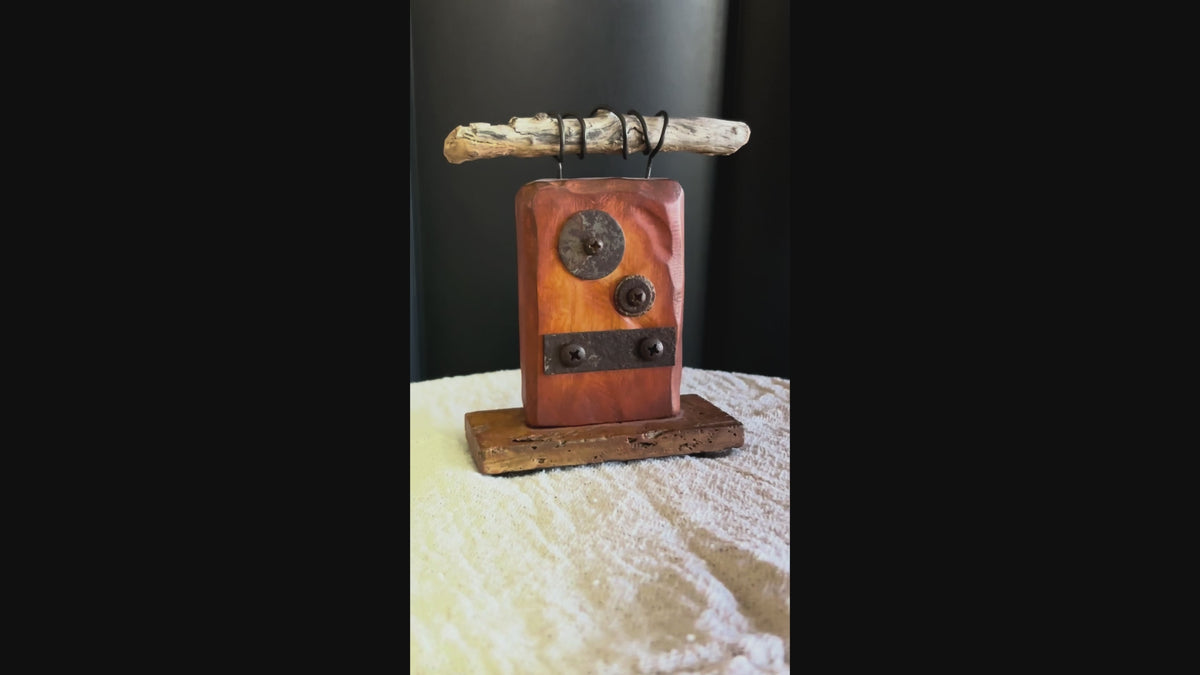 Video of rustic sculpture by Robert Schott
